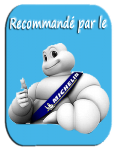 Michelin_guide-236x300